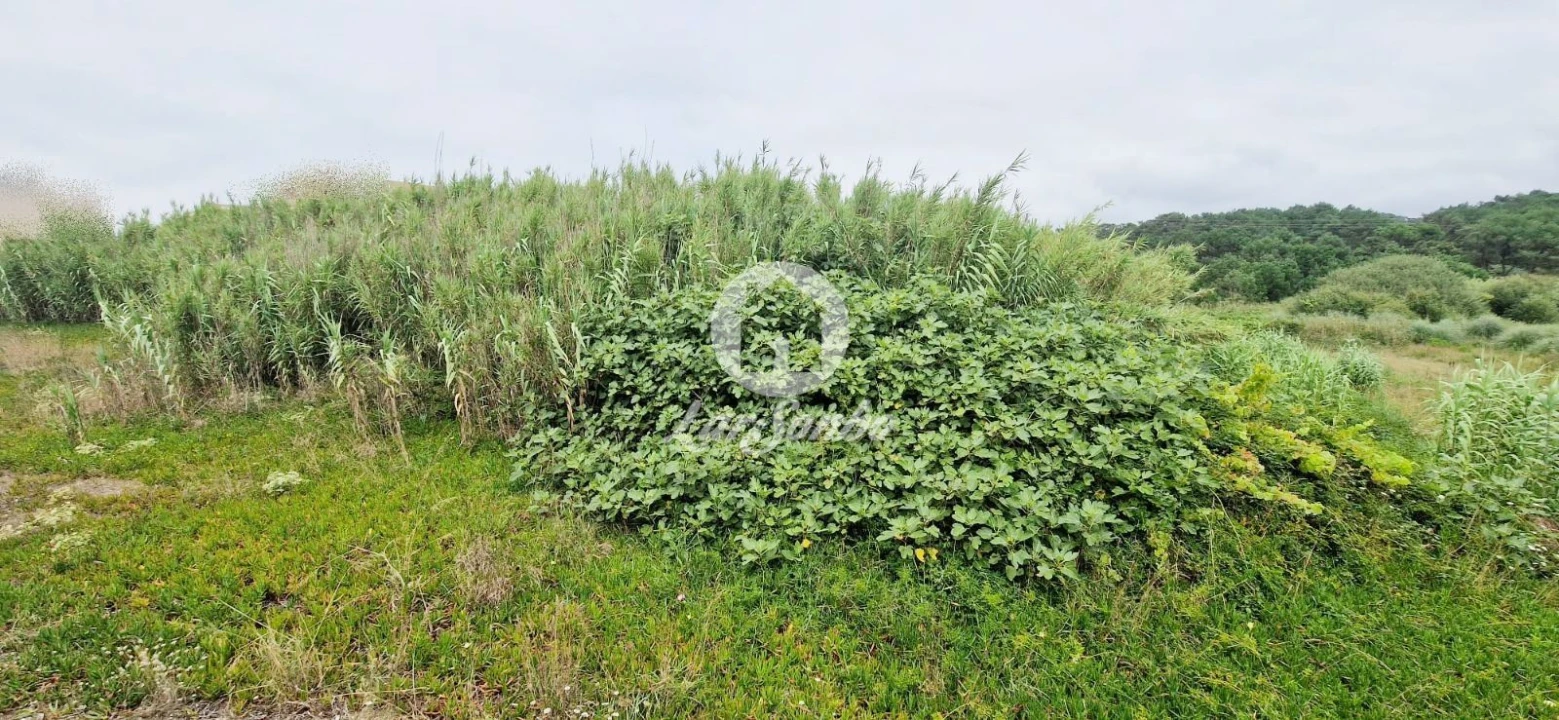 Terreno para Venda em Vila do Conde Foto 11