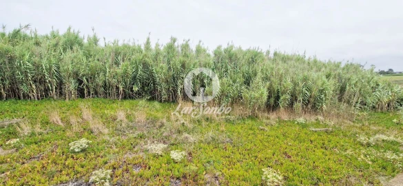 Terreno para Venda em Vila do Conde
