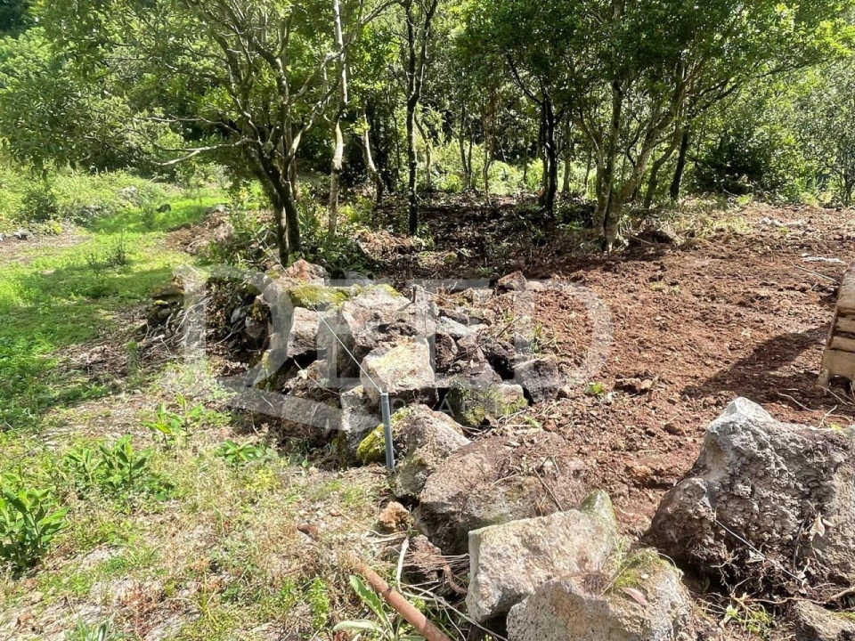 Terreno Agricola ou Rústico para Venda em Seixal Foto 1