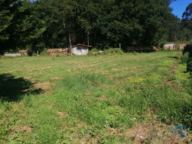 Terreno para Venda em São Romão de Neiva