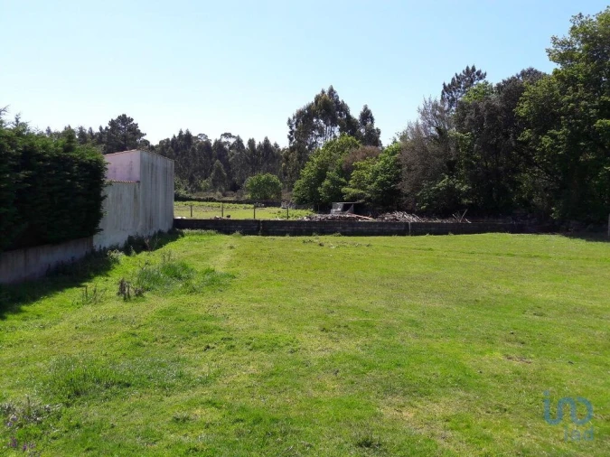 Terreno para Venda em São Romão de Neiva Foto 4