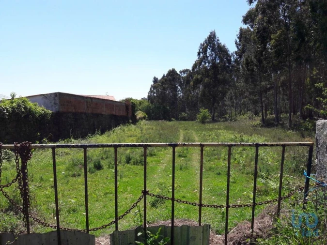 Terreno para Venda em São Romão de Neiva Foto 5
