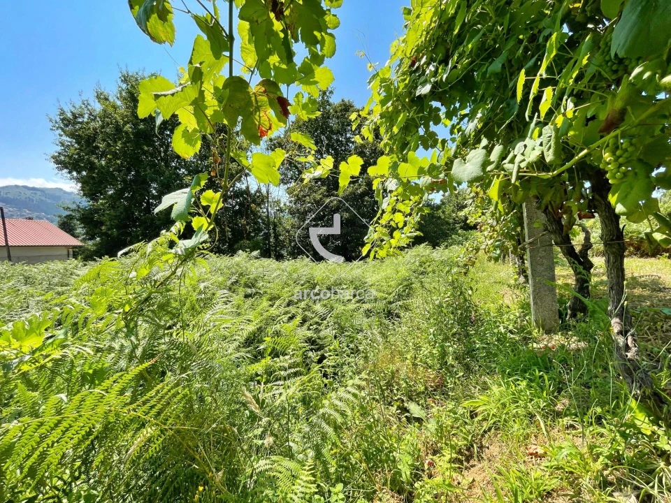 Terreno para Venda em Gondoriz Foto 12