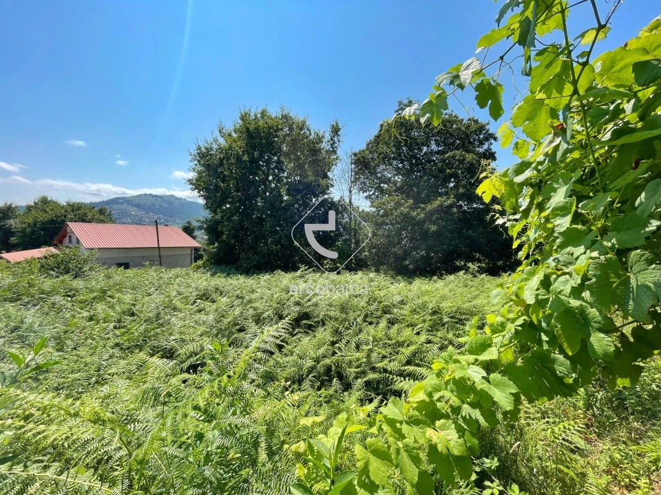 Terreno para Venda em Gondoriz Foto 3