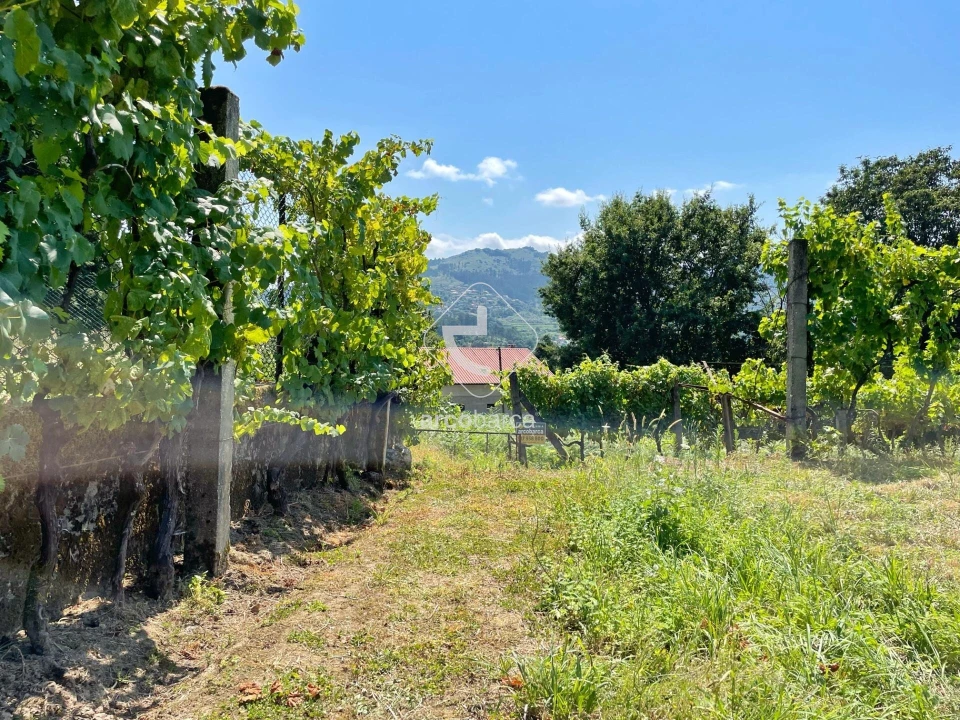 Terreno para Venda em Gondoriz Foto 17
