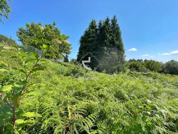 Terreno para Venda em Gondoriz Foto 4