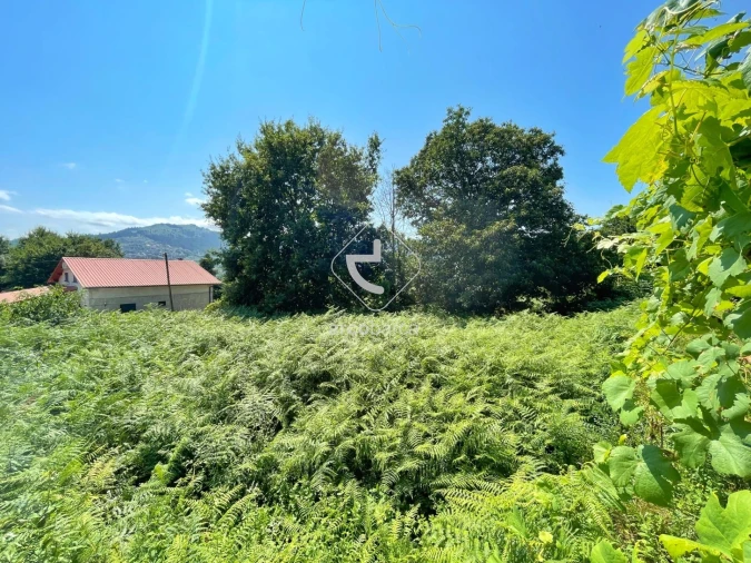 Terreno para Venda em Gondoriz Foto 5