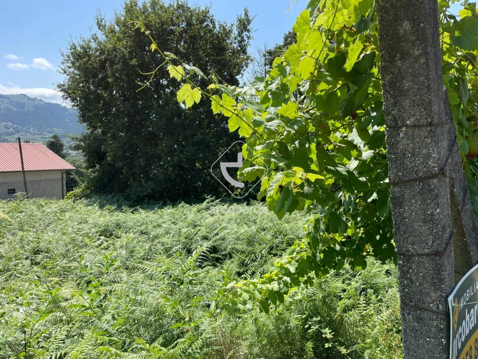 Terreno para Venda em Gondoriz Foto 14