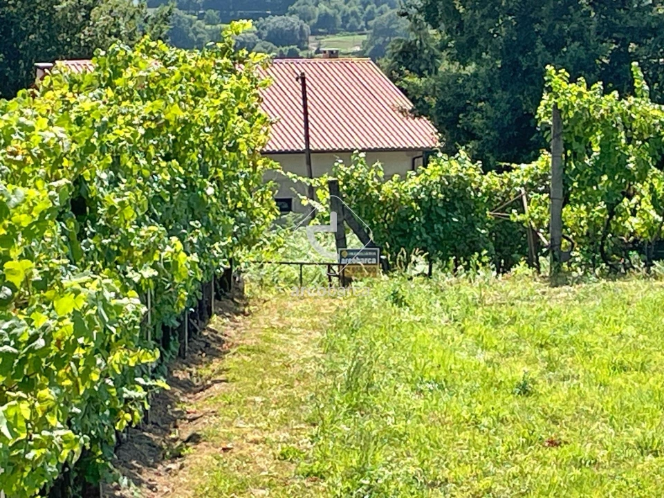 Terreno para Venda em Gondoriz Foto 10
