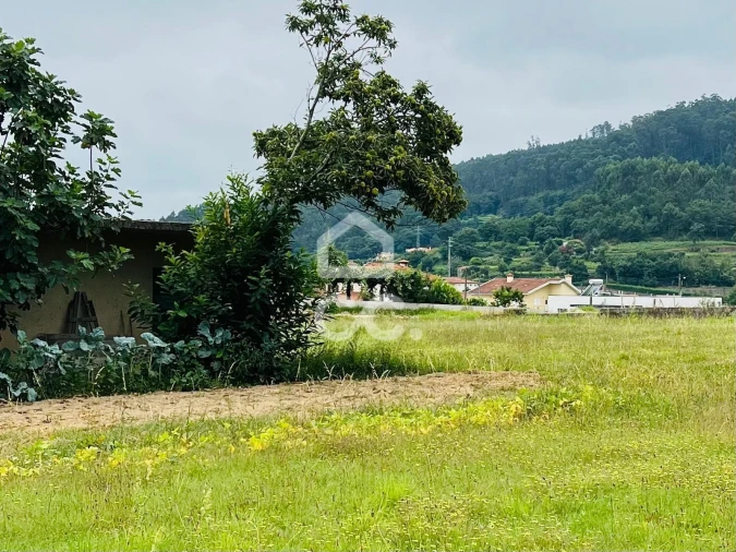 Terreno para Venda em Vale (São Cosme), Telhado e Portela Foto 4