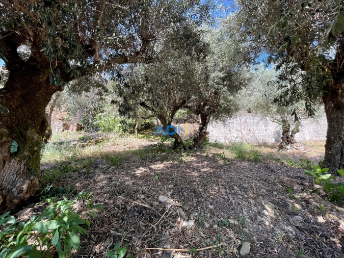 Moradia T2 para Venda em Montes da Senhora Foto 19