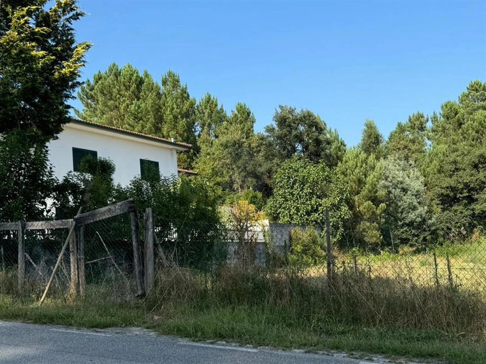 Quinta T0 para Venda em Lufrei Foto 15