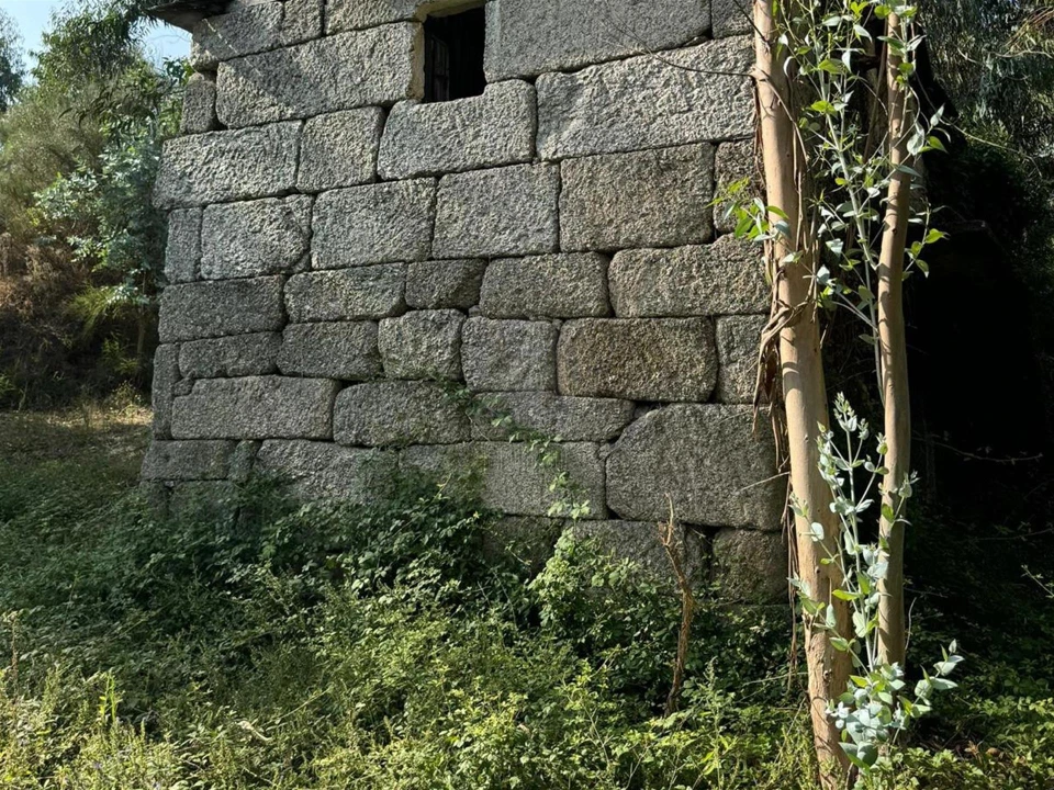 Quinta T0 para Venda em Lufrei Foto 11