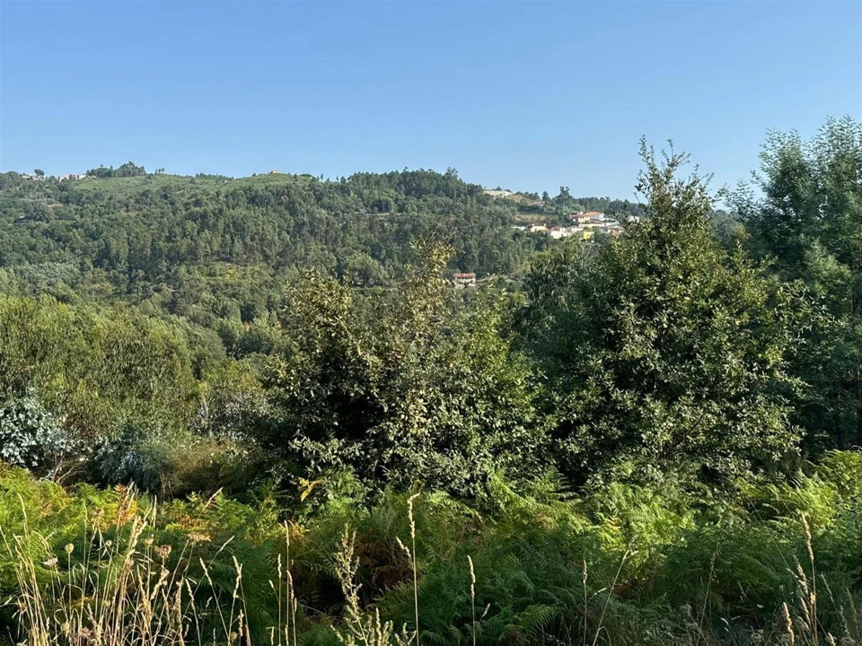 Quinta T0 para Venda em Lufrei Foto 19