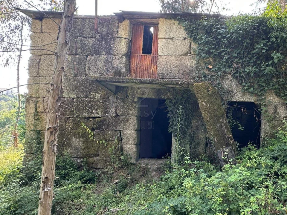 Quinta T0 para Venda em Lufrei Foto 16