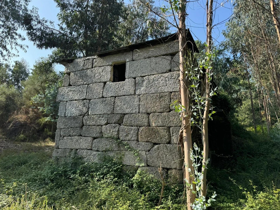 Quinta T0 para Venda em Lufrei Foto 6