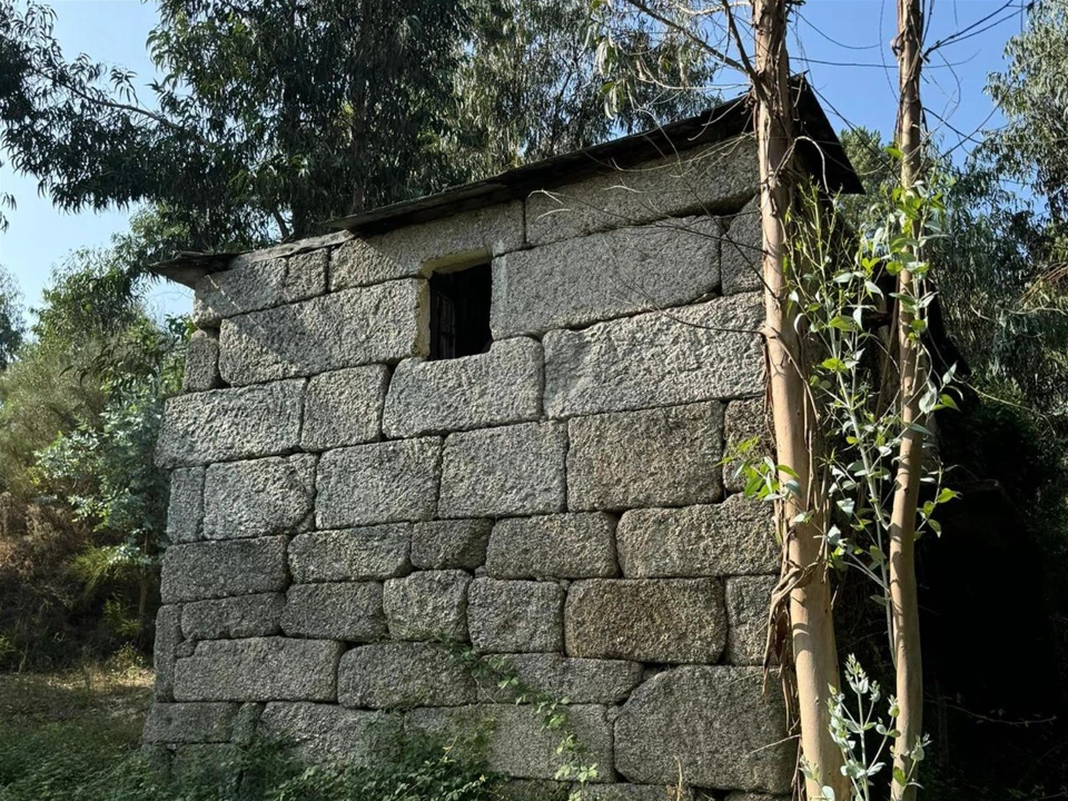 Quinta T0 para Venda em Lufrei Foto 18