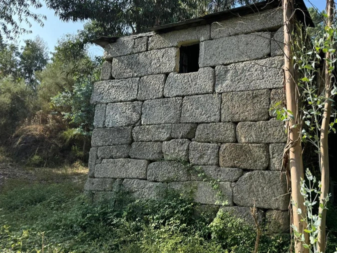 Quinta T0 para Venda em Lufrei Foto 10