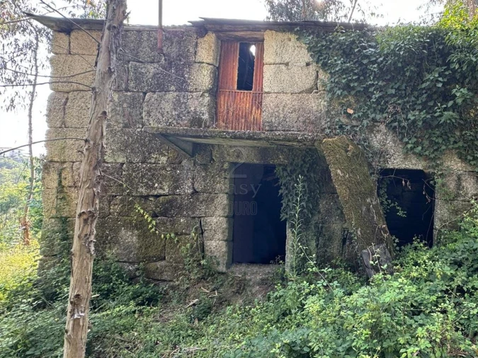 Quinta T0 para Venda em Lufrei Foto 16