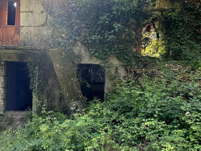 Quinta T0 para Venda em Lufrei Foto 12