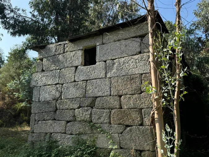 Quinta T0 para Venda em Lufrei Foto 5