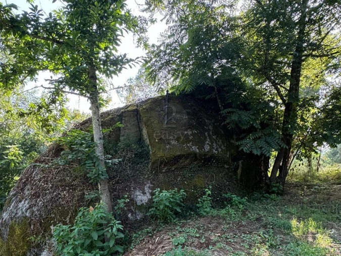 Quinta T0 para Venda em Lufrei Foto 9