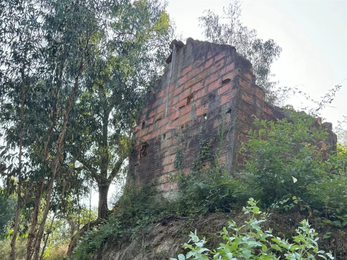 Quinta T0 para Venda em Lufrei Foto 4