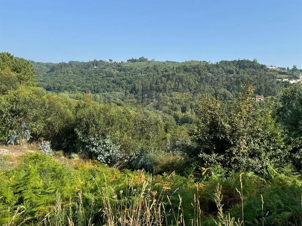 Quinta T0 para Venda em Lufrei Foto 20