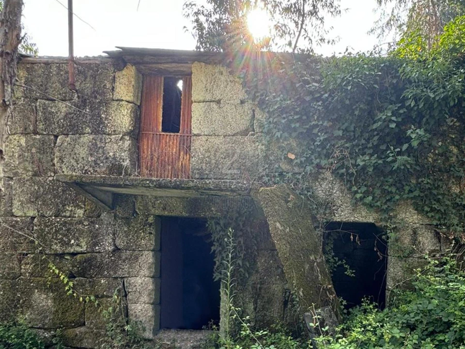 Quinta T0 para Venda em Lufrei Foto 17