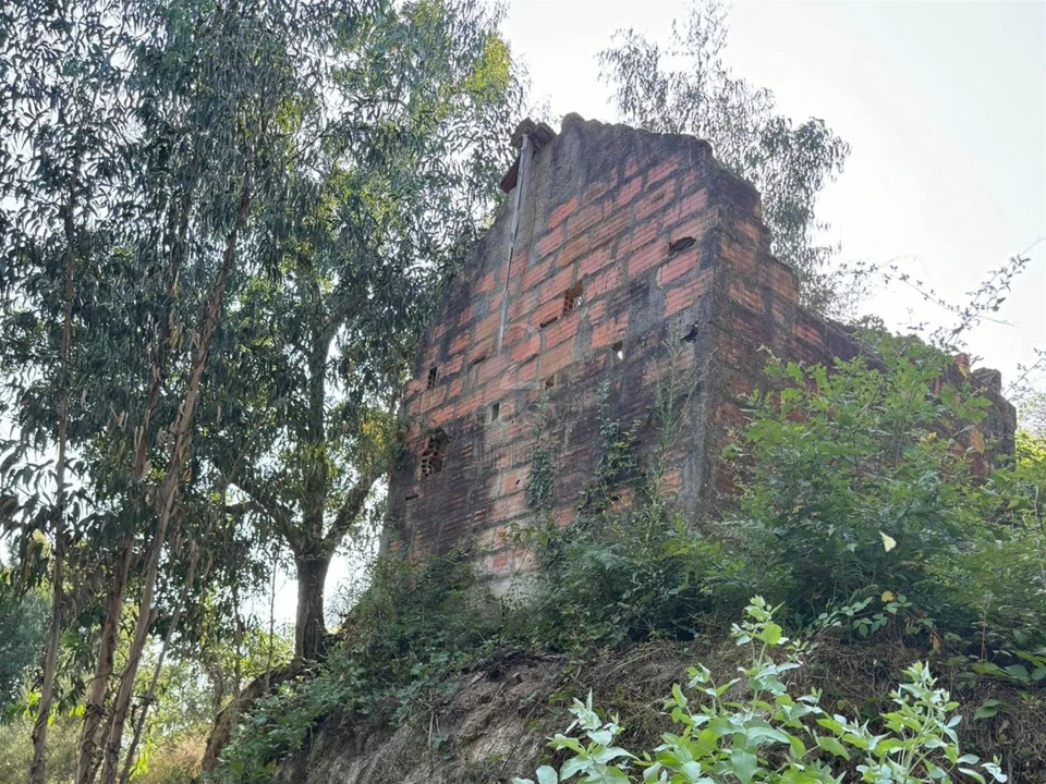 Quinta T0 para Venda em Lufrei Foto 4