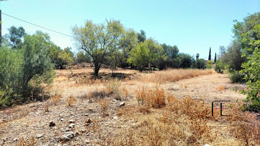 Terreno para Venda em Santa Catarina da Fonte do Bispo Foto 9