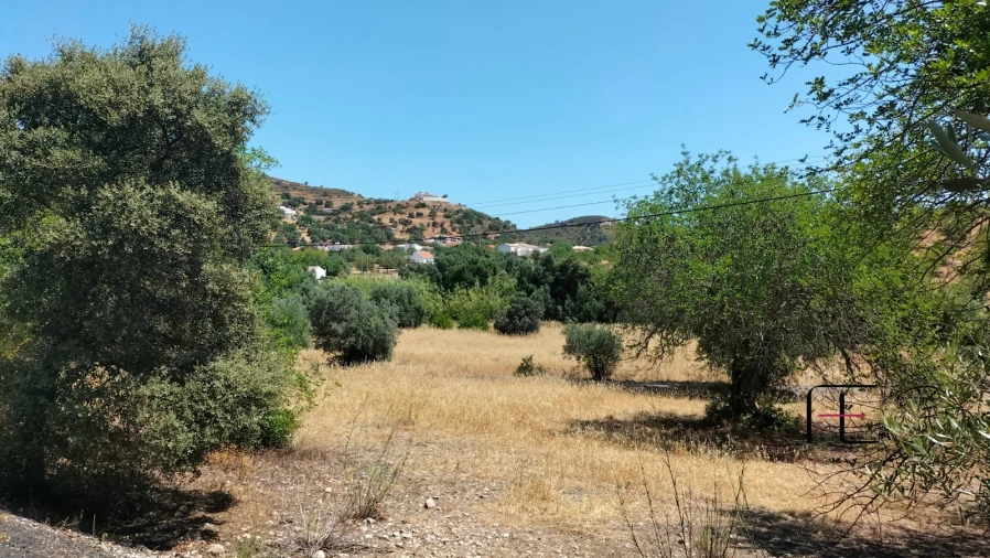Terreno para Venda em Santa Catarina da Fonte do Bispo Foto 3