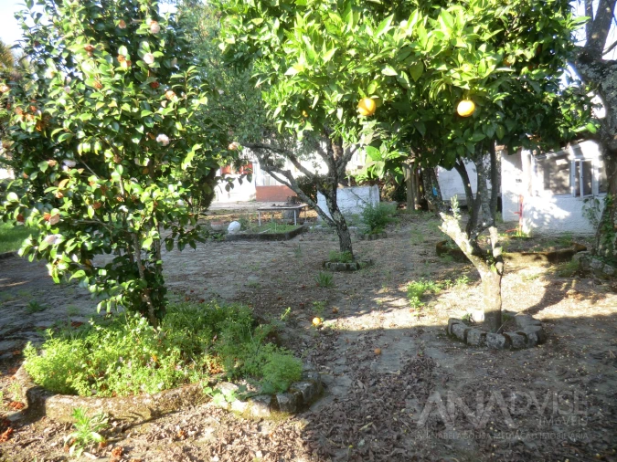 Prédio para Venda em Viseu Foto 3