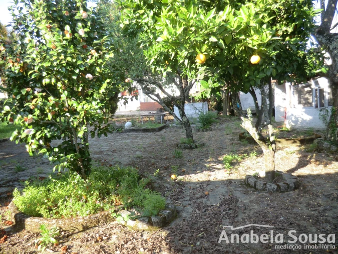 Prédio para Venda em Viseu Foto 3