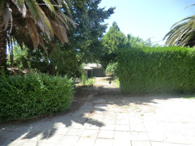 Prédio para Venda em Viseu Foto 75