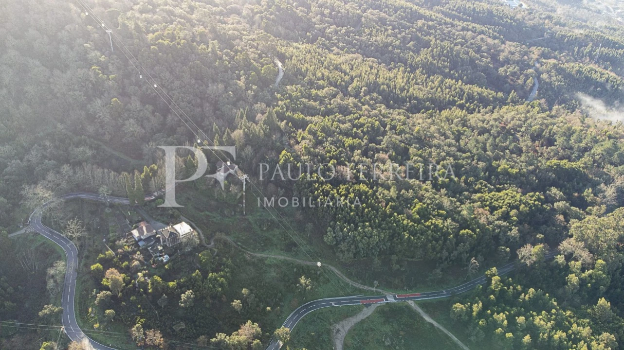 Quinta T3 para Venda em Costa Foto 1