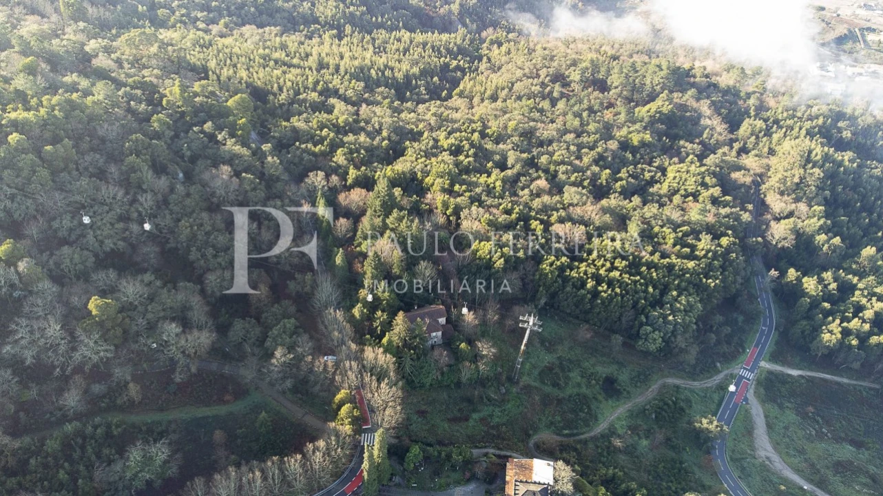 Quinta T3 para Venda em Costa Foto 4