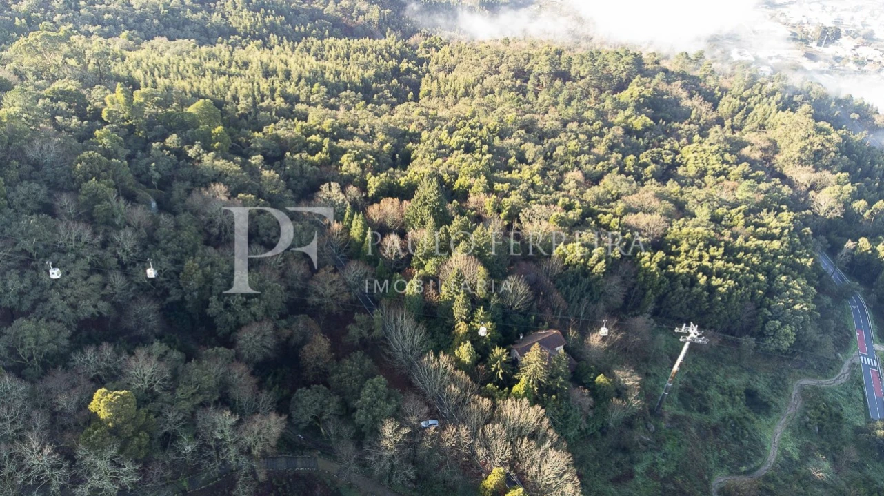 Quinta T3 para Venda em Costa Foto 5