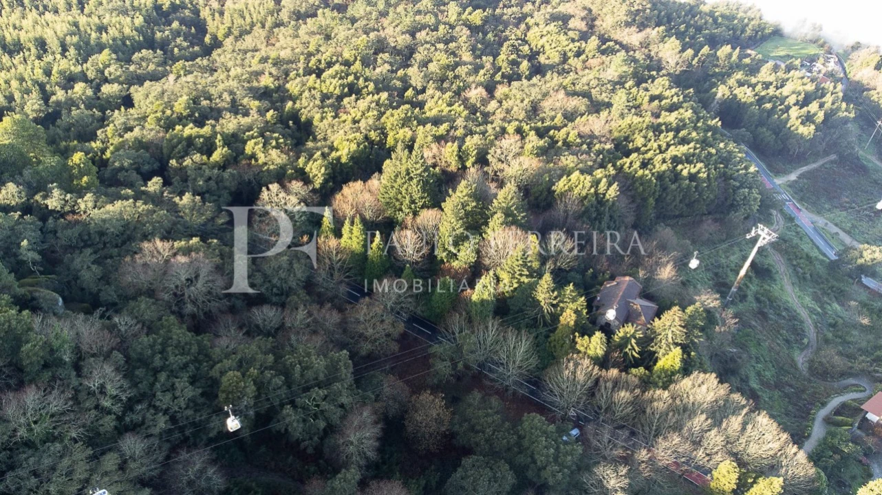 Quinta T3 para Venda em Costa Foto 6