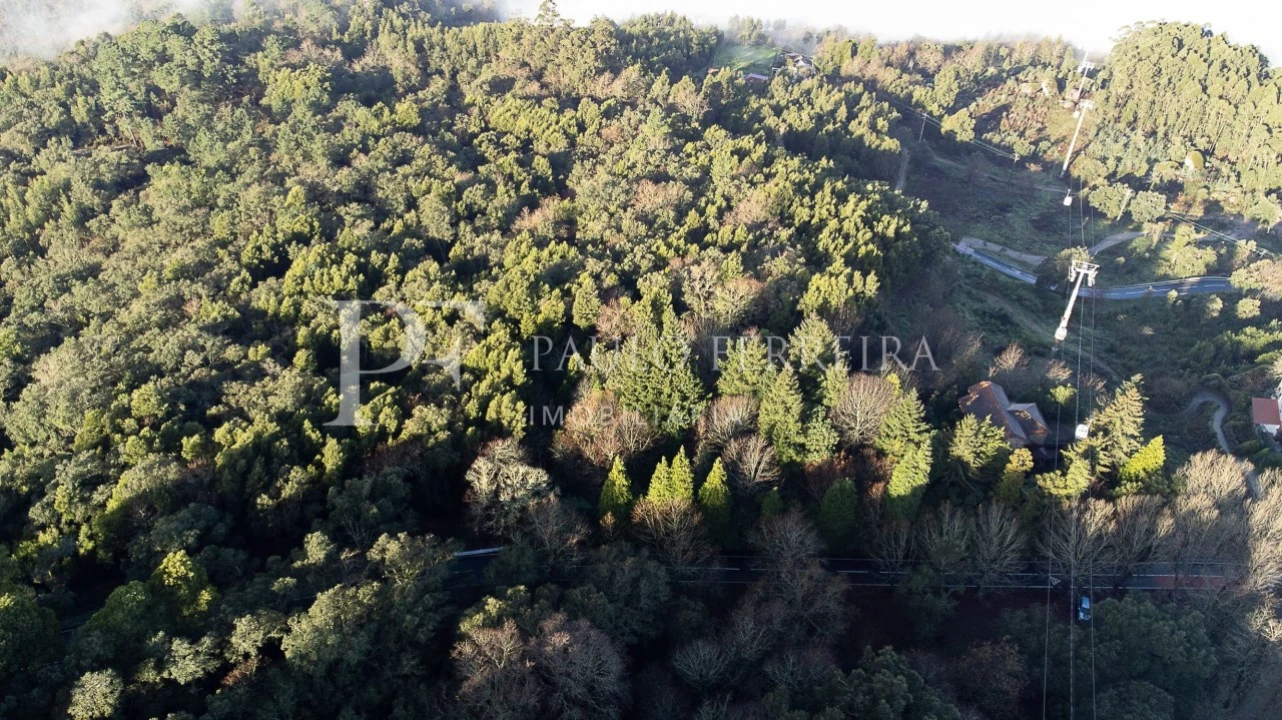 Quinta T3 para Venda em Costa Foto 7