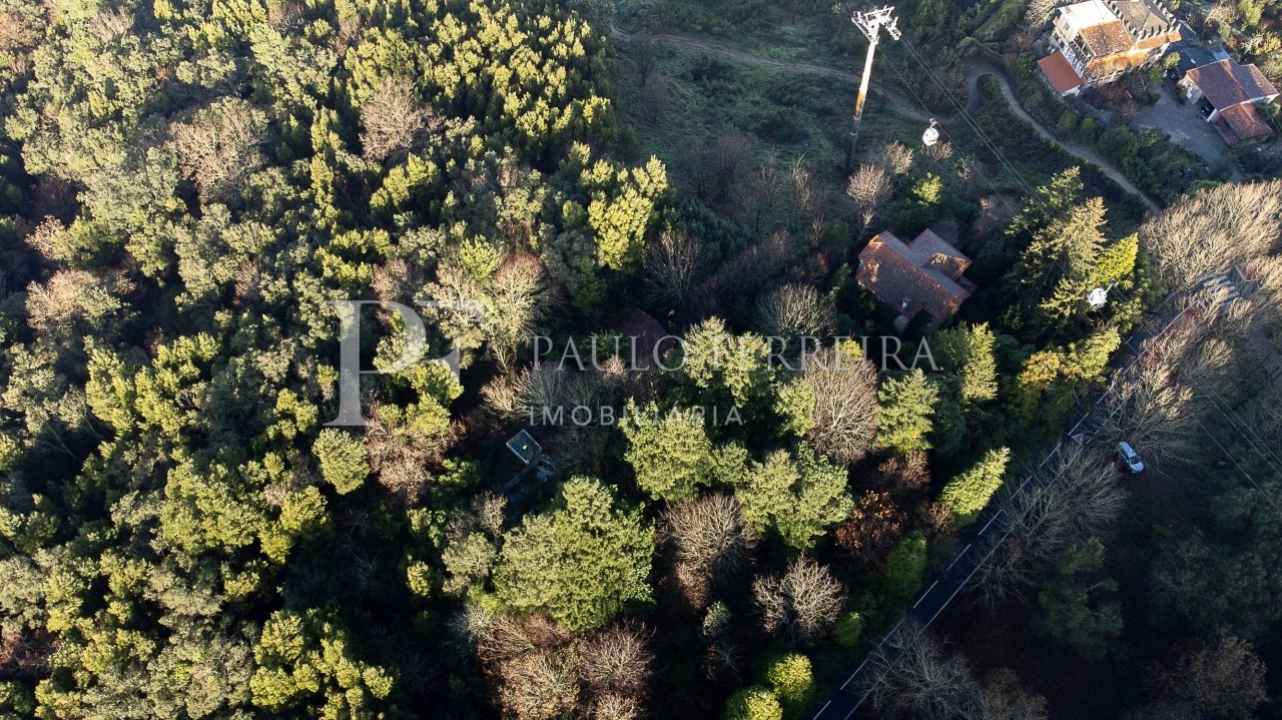 Quinta T3 para Venda em Costa Foto 8