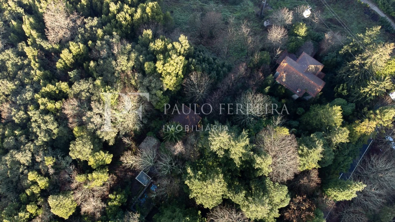 Quinta T3 para Venda em Costa Foto 9