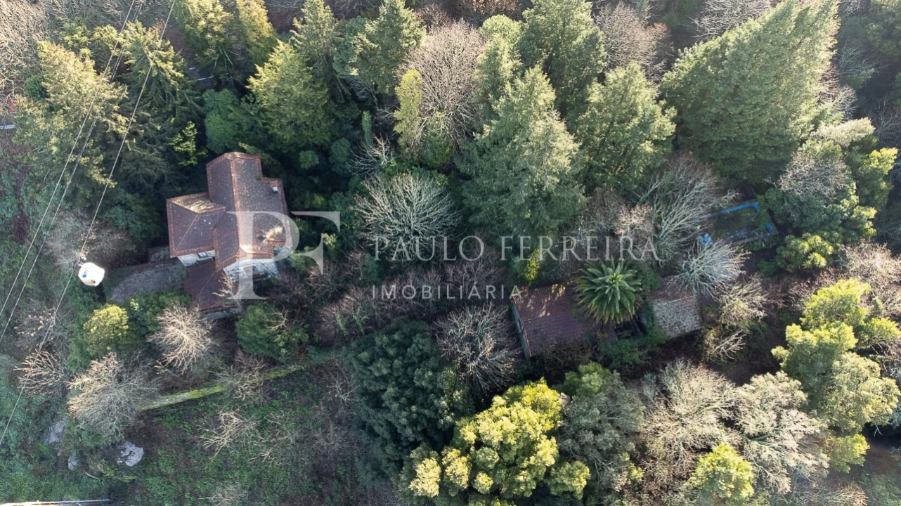 Quinta T3 para Venda em Costa Foto 10