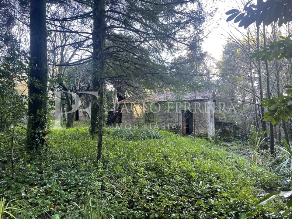 Quinta T3 para Venda em Costa Foto 20