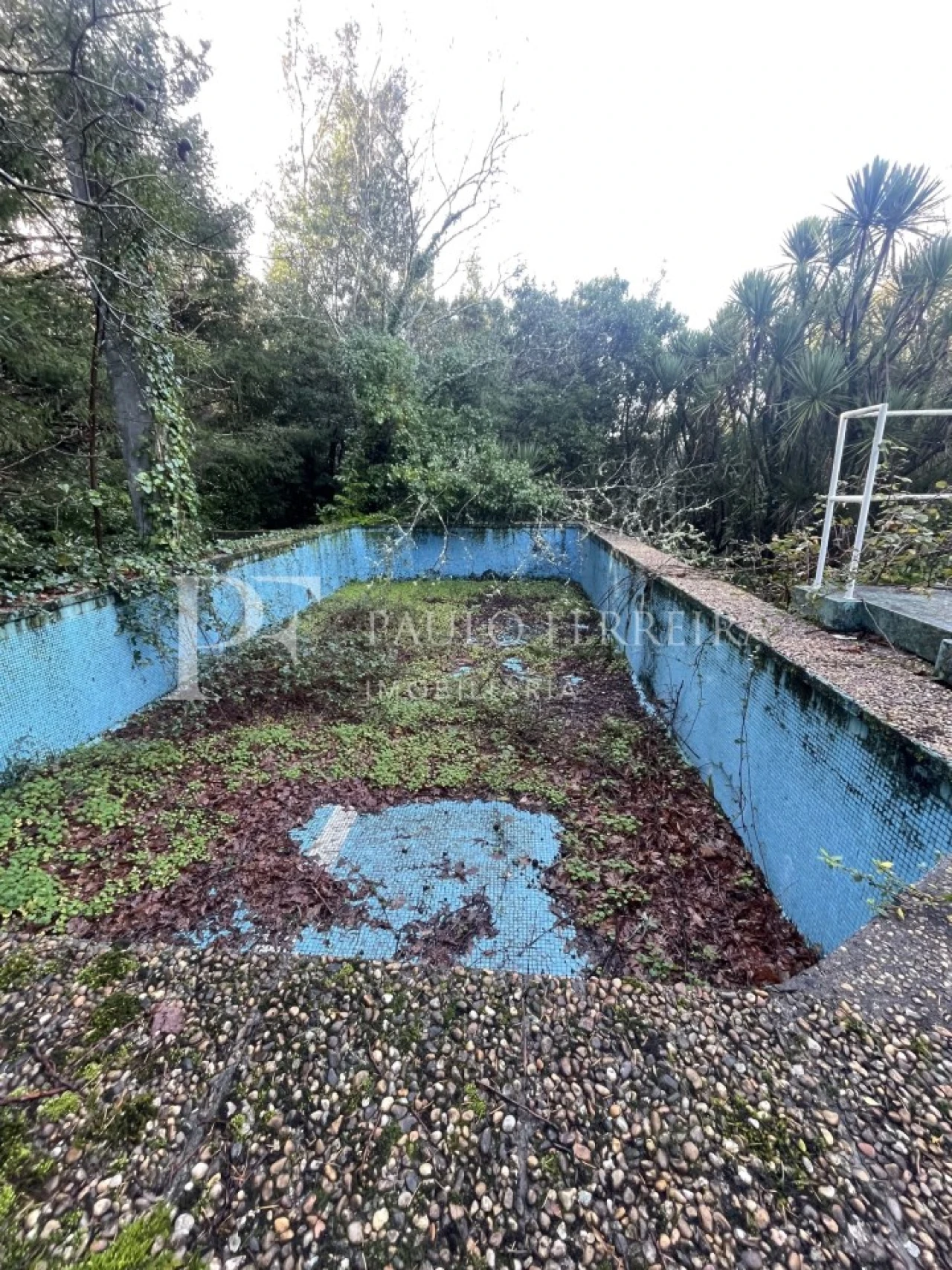 Quinta T3 para Venda em Costa Foto 27