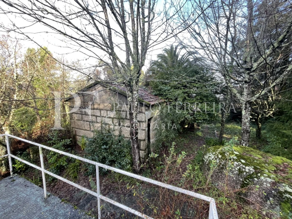 Quinta T3 para Venda em Costa Foto 28