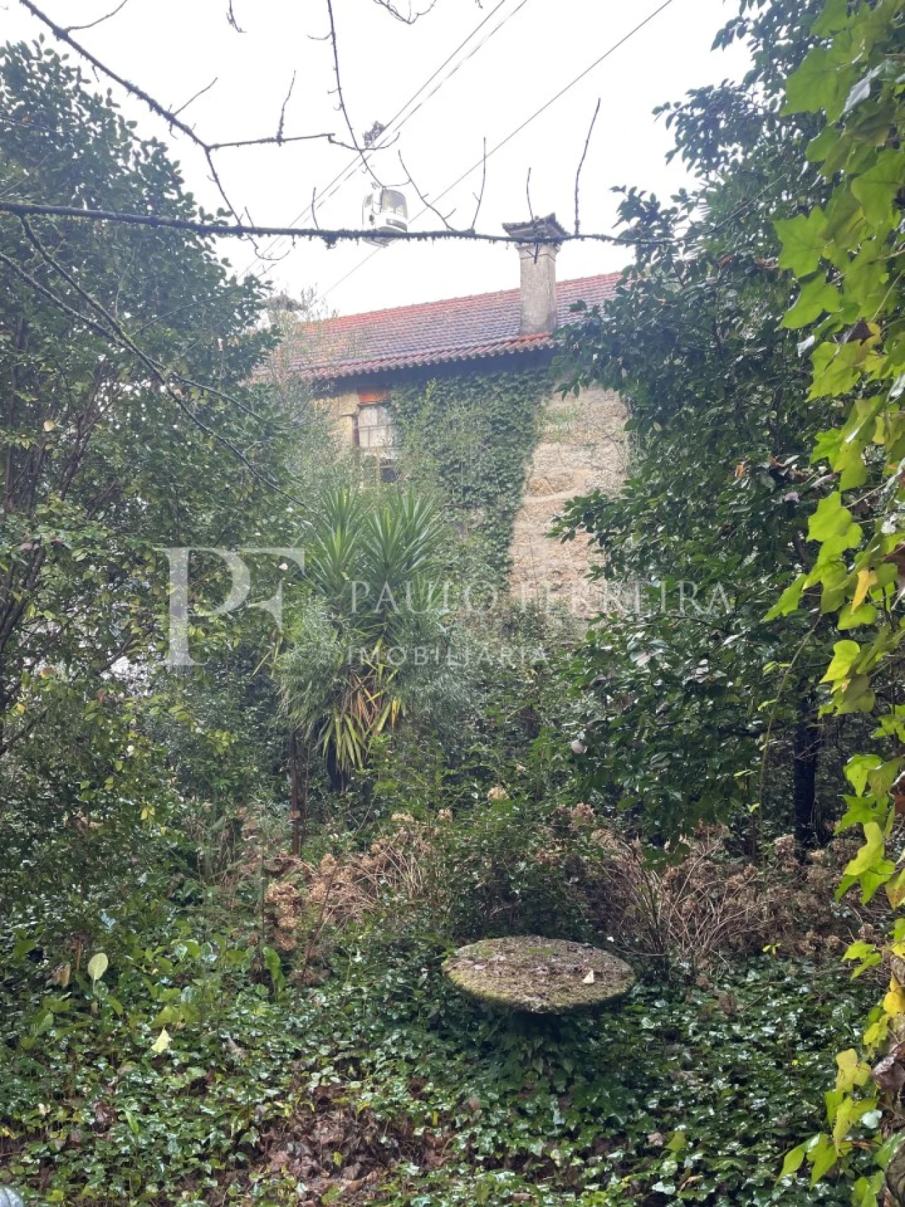 Quinta T3 para Venda em Costa Foto 30