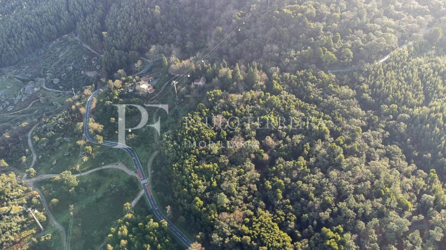 Quinta T3 para Venda em Costa Foto 3