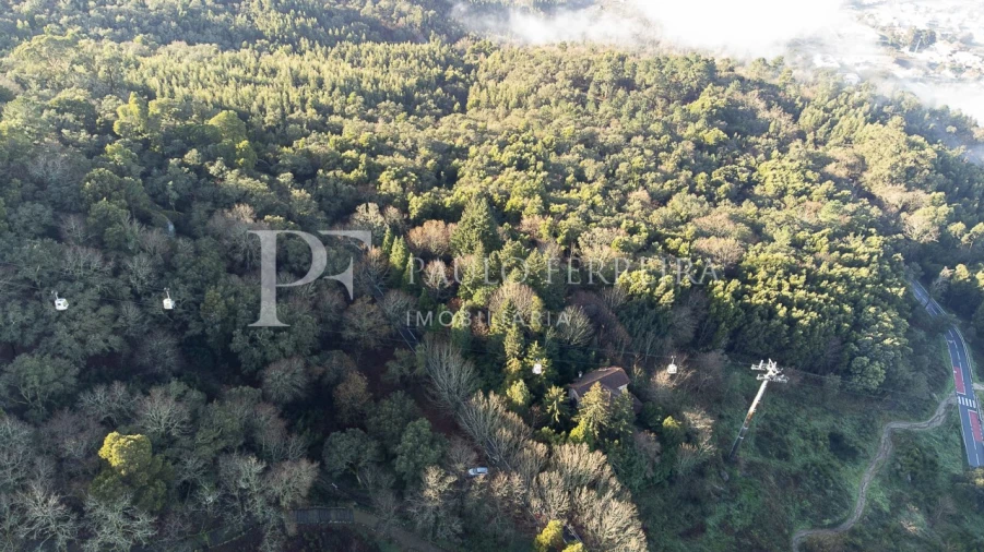 Quinta T3 para Venda em Costa Foto 5