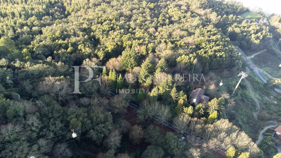 Quinta T3 para Venda em Costa Foto 6